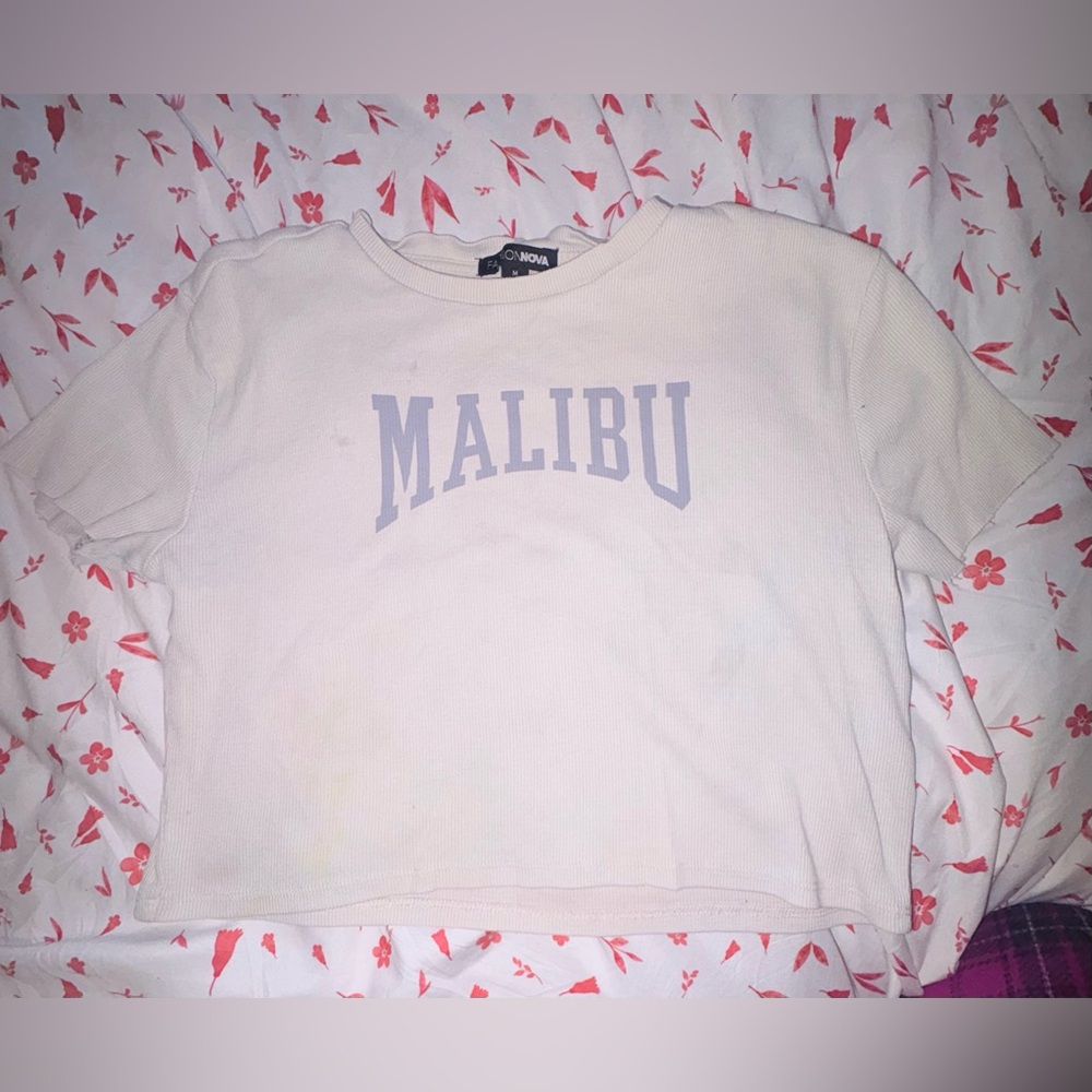 Fashion Nova Malibu Crop Top
